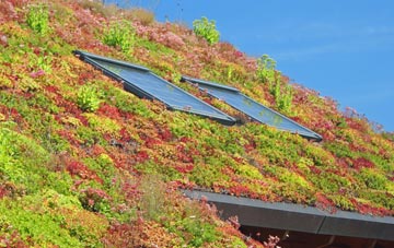 Gundenham living roof systems