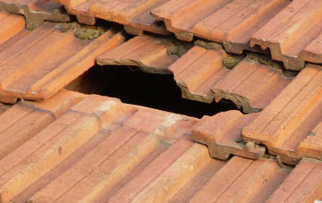 roof repair Gundenham, Somerset