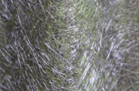 Gundenham fibreglass roof work